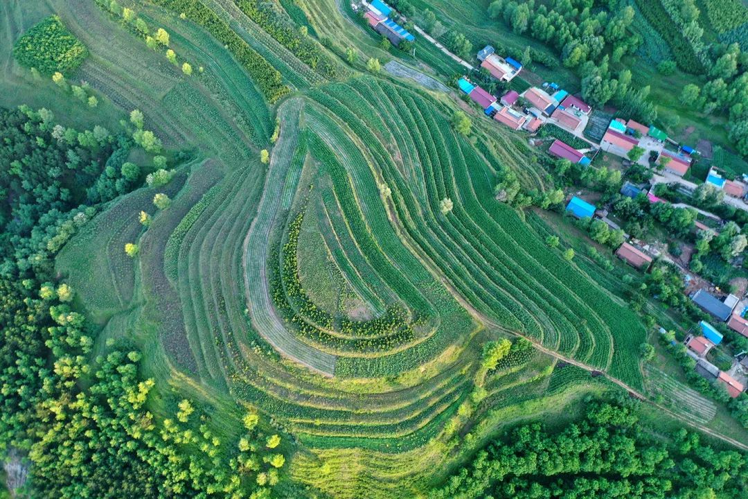 生態(tài)系統(tǒng)健康和管理——加強生態(tài)技術(shù)和工程管理，促進生態(tài)系統(tǒng)健康發(fā)展